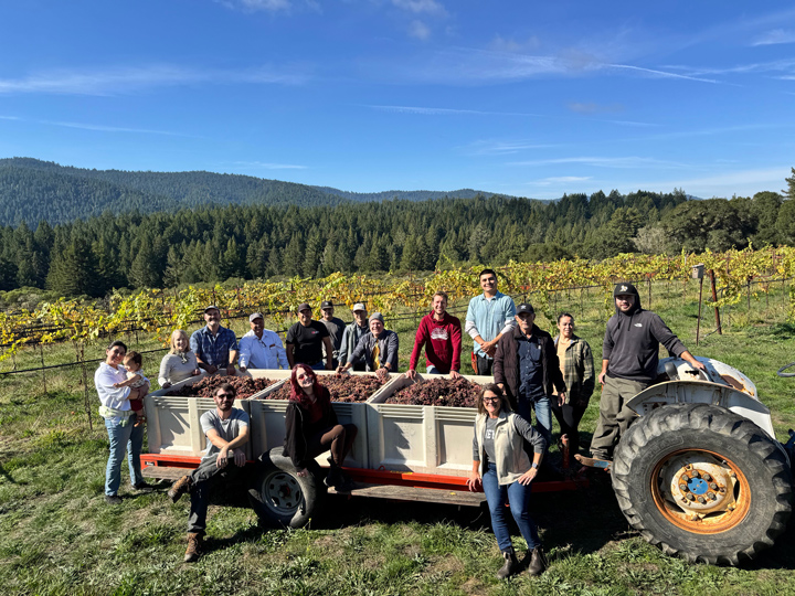 Husch employees surround a tractor with three large bins full of grapes.