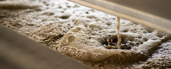 Pinot noir juice drips from the press as the winemaking process begins